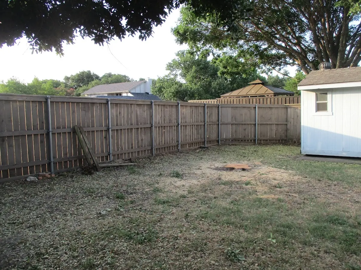 Cleared yard after professional tree removal in Vandalia